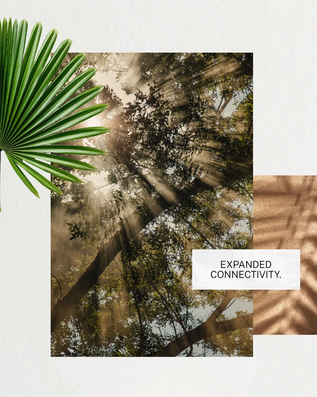 Forest and palm social artwork for Aldea Uh May