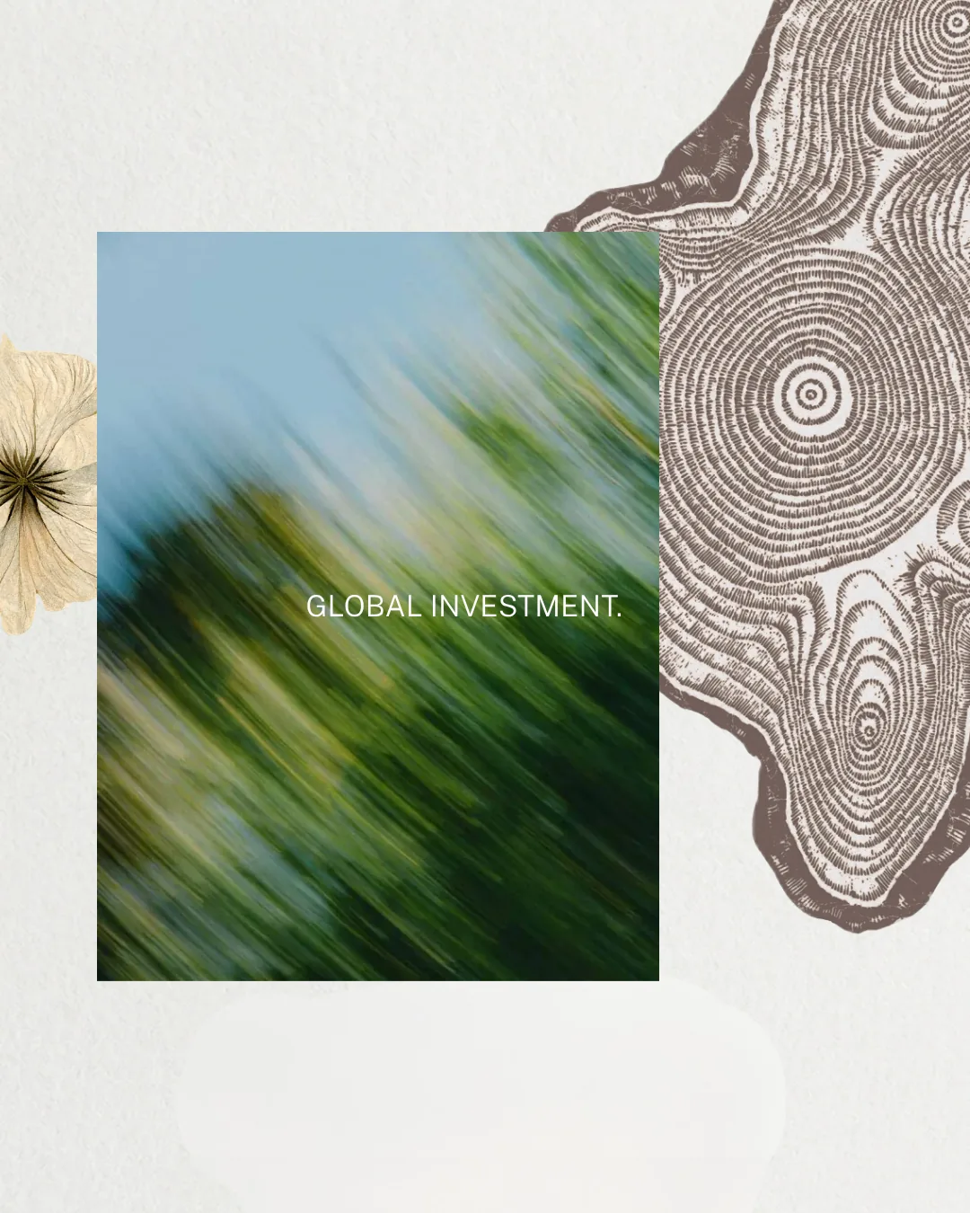 Abstract green investment social artwork for Aldea Uh May