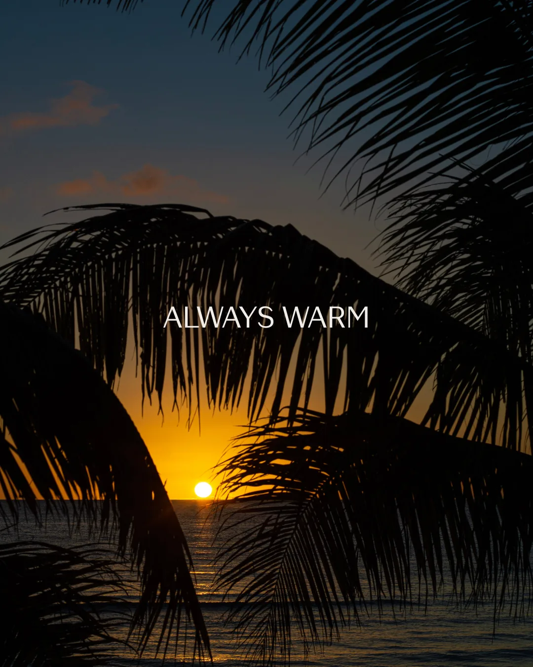 Image from the Latitude – The Terraces project portfolio